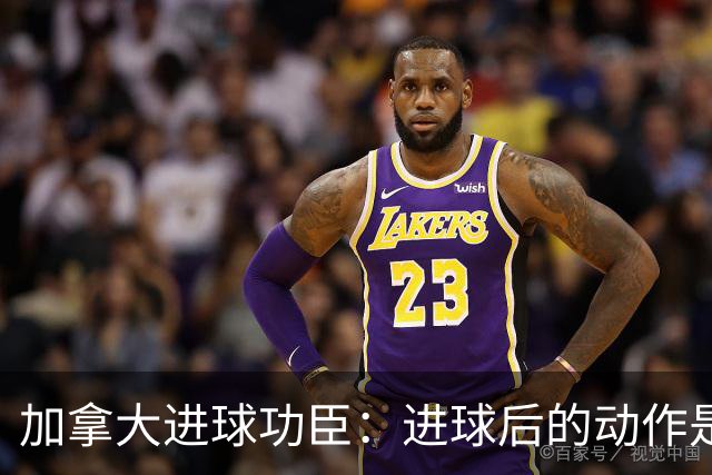 加拿大进球功臣：进球后的动作是给质疑我的媒体，他们可以闭嘴了